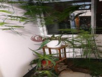其它圖