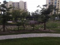其它圖