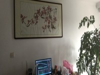 其它圖