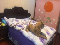 其它圖