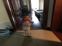 其它圖