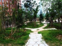 其它圖
