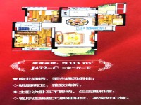戶型圖