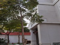其它圖