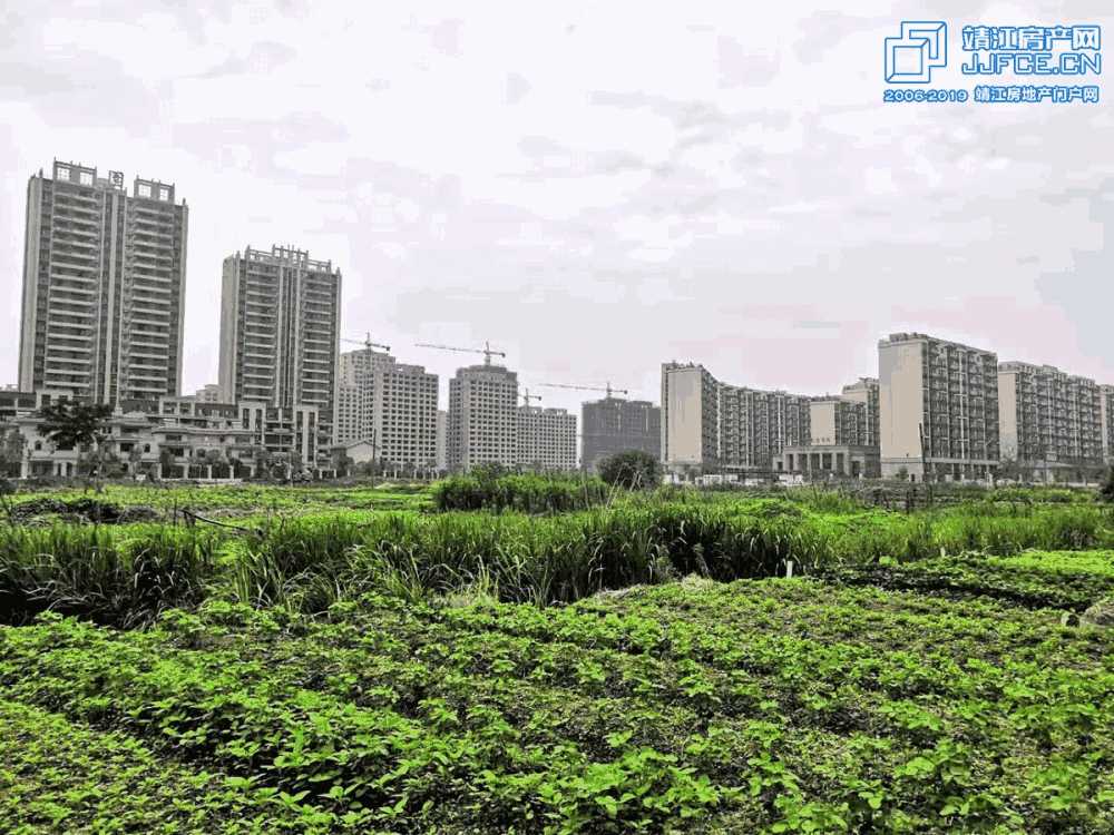 微信圖片_20190705001253副本.jpg