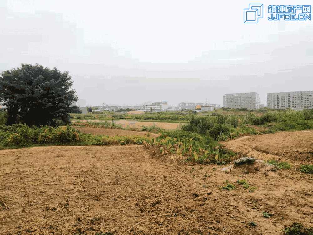 微信圖片_20190928233609副本.jpg