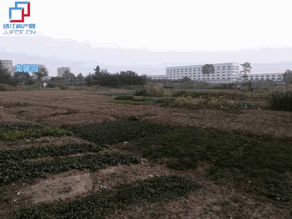 微信圖片_20191021151759副本.jpg